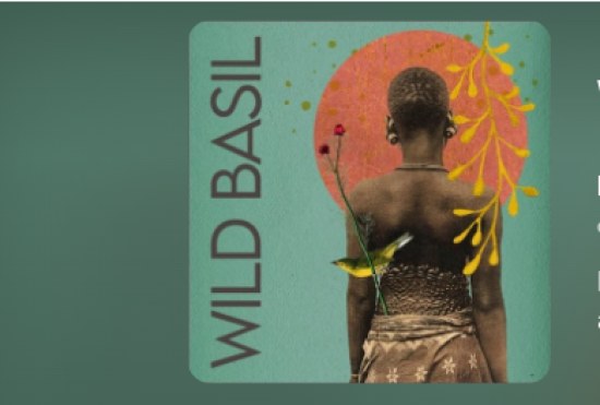 AllAfrica's new eight-part podcast series, Wild Basil, features little-recognized women contributing to peacebuilding and development through innovations in biodiversity, conservation and sharing scarce resources across southern Africa.